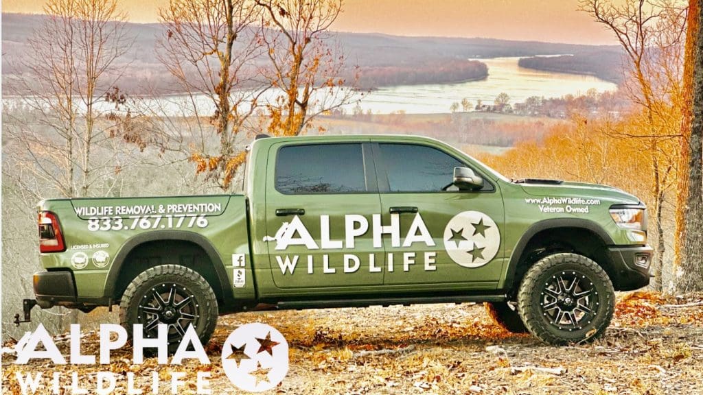Alpha Wildlife Truck in Chattanooga TN